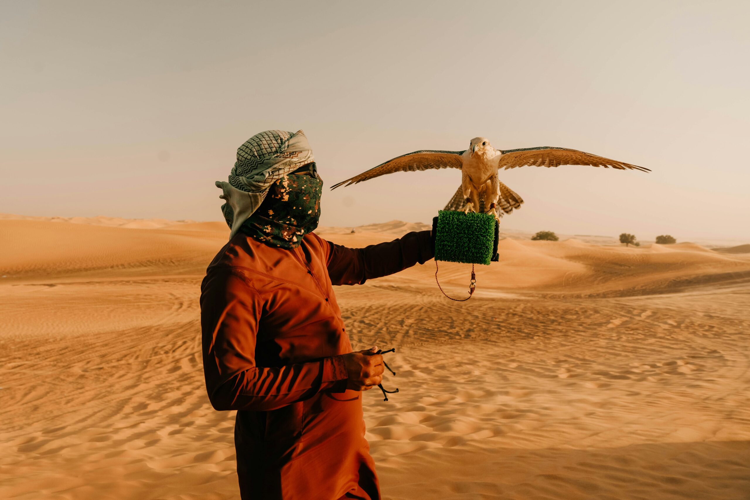 Falconry