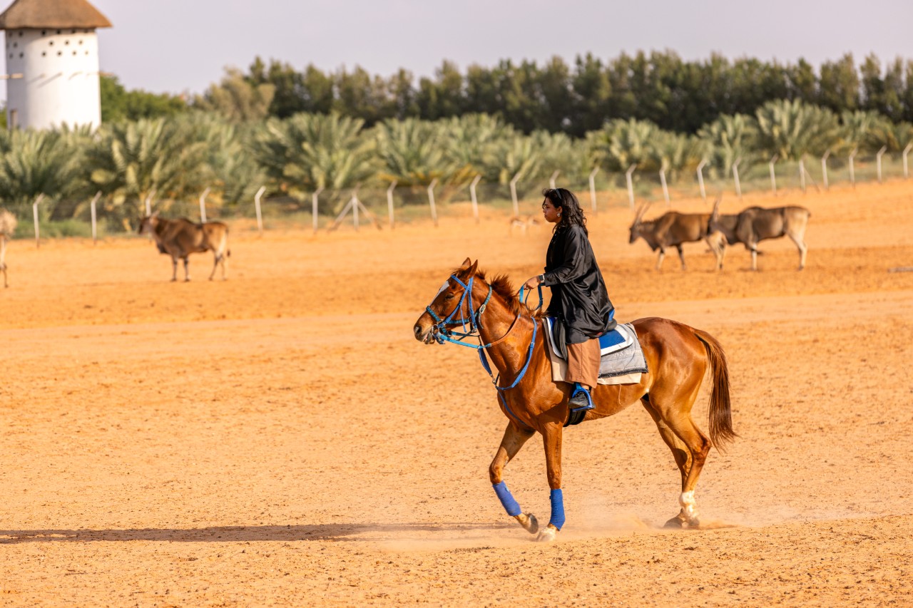 Riyadh