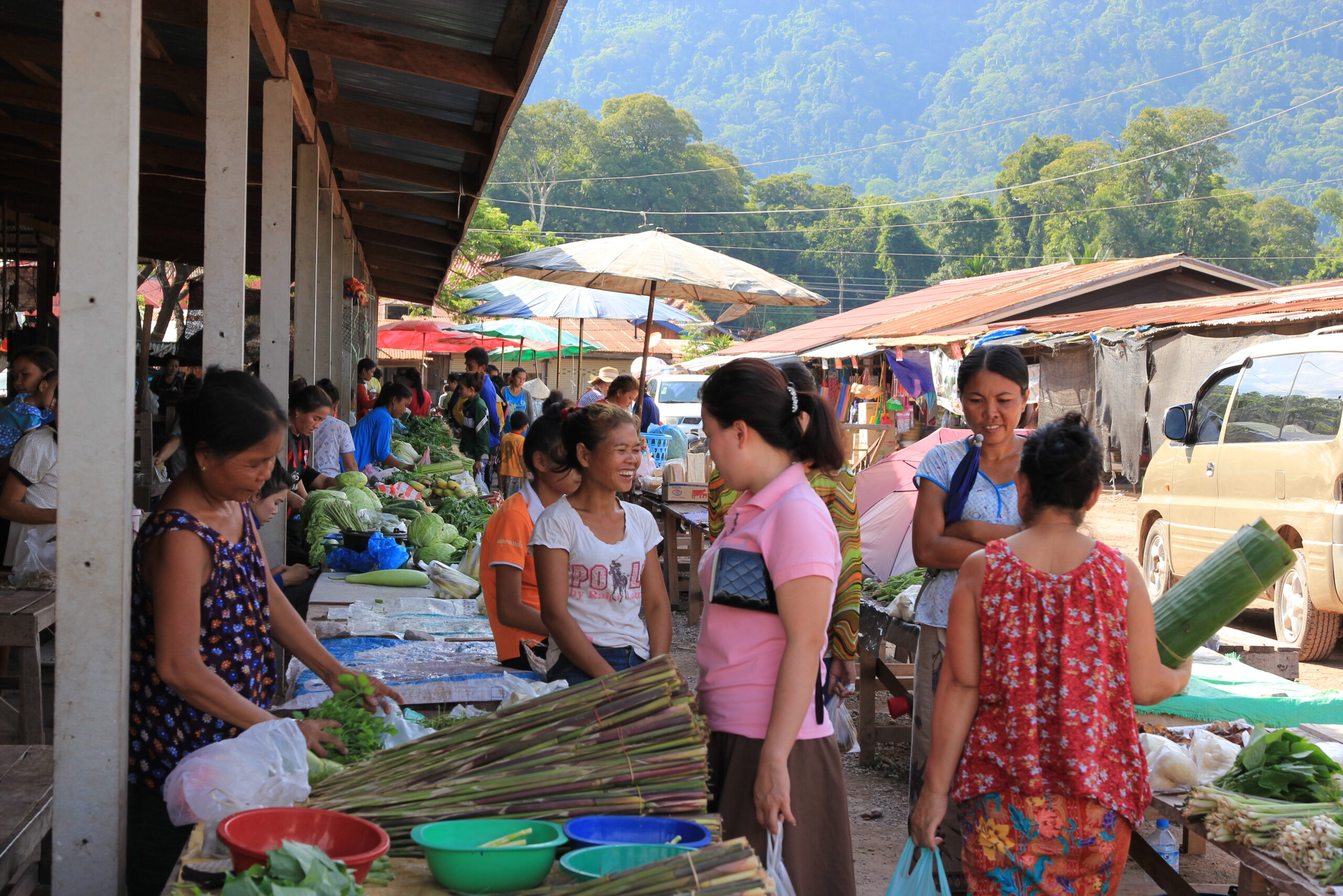 Ban Na Hin - local market