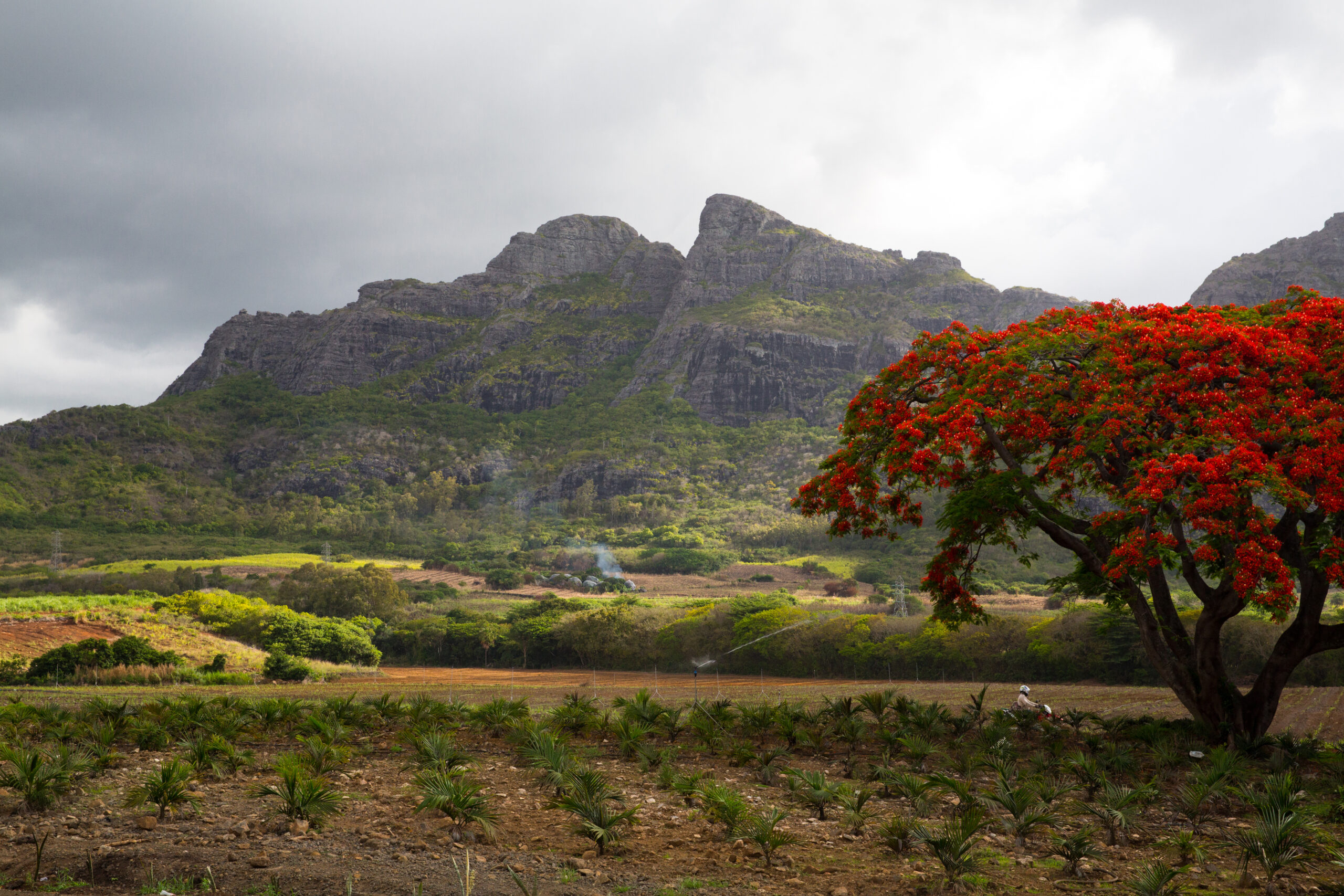 Mauritius pic 3