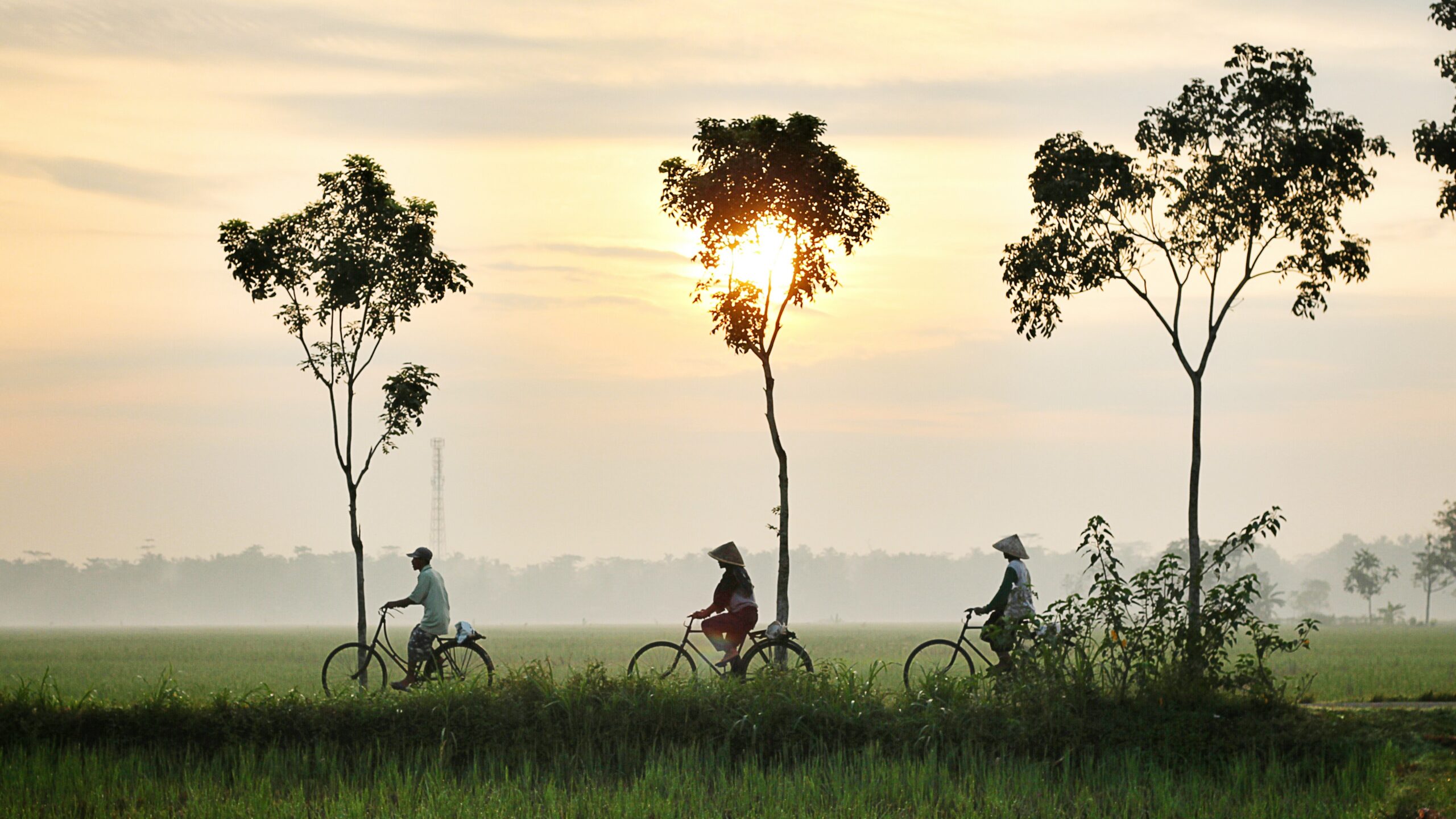 Hoi An