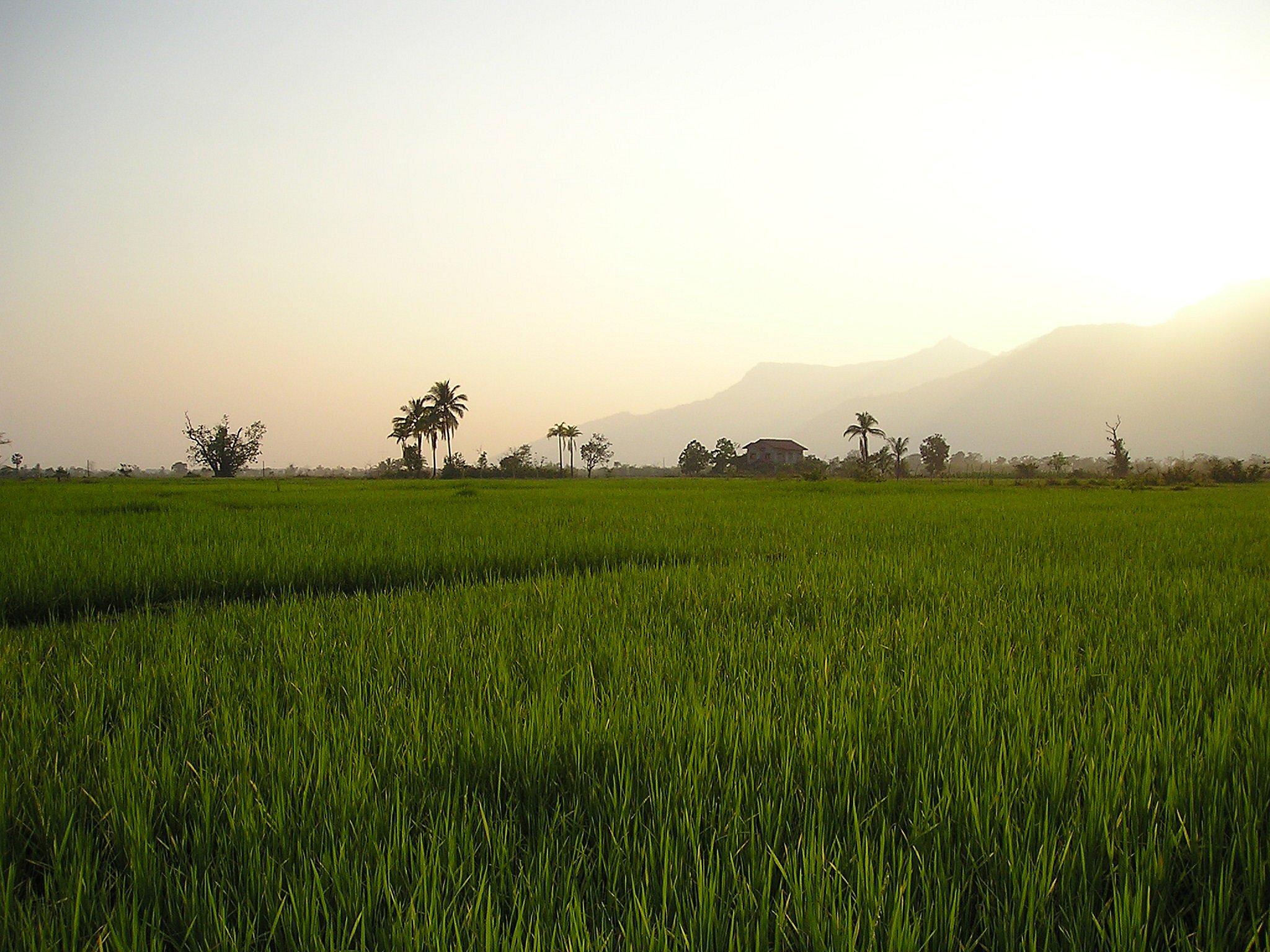 Luang Prabang