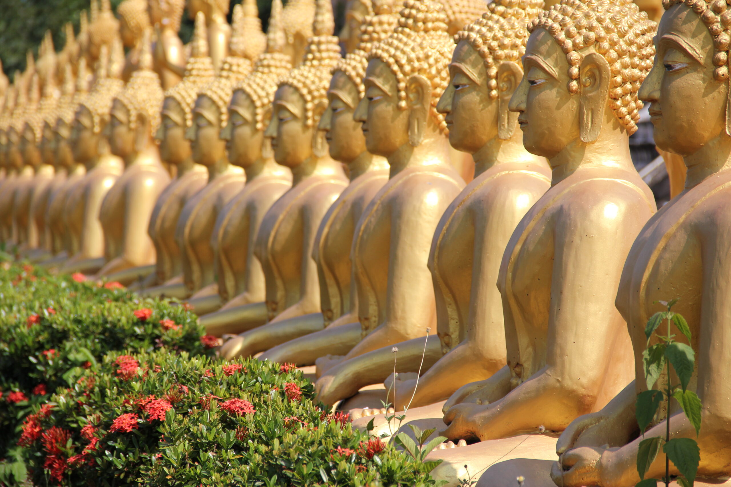 Pakse - Buddha Images at Phu Salao