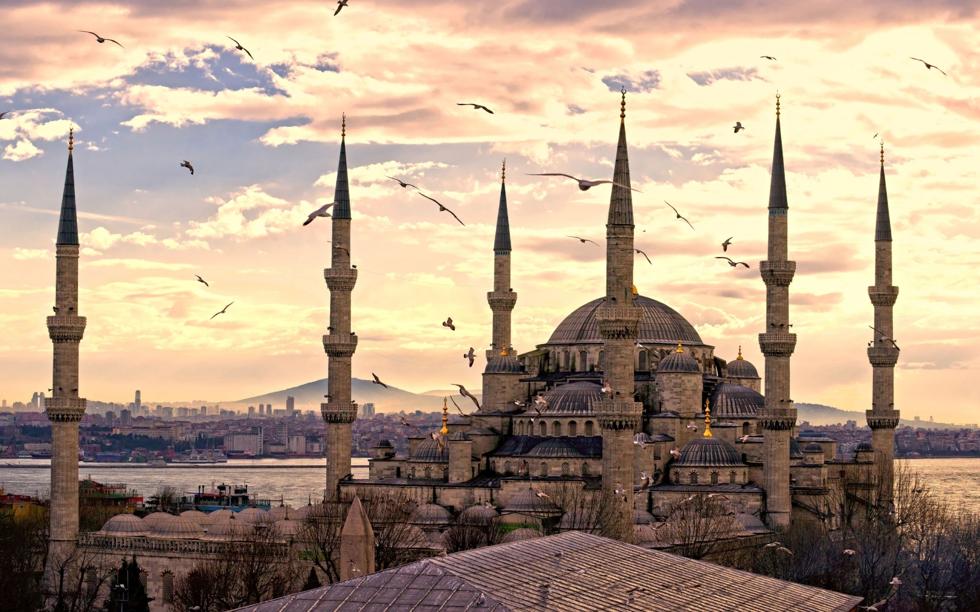 Istanbul mosque Culture