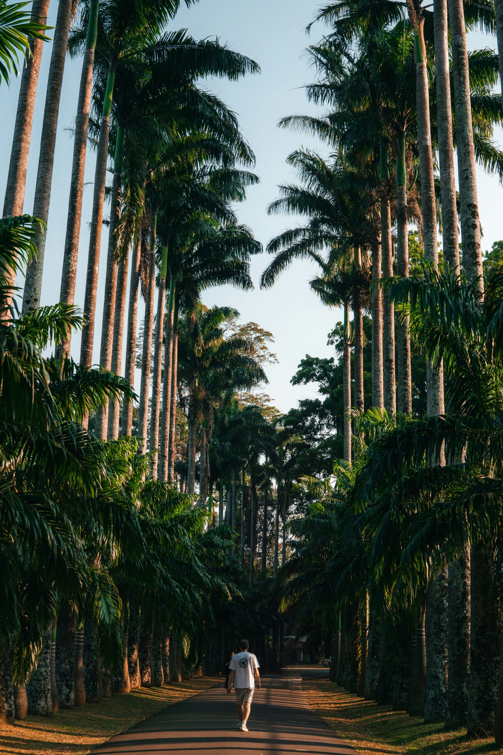 Kandy