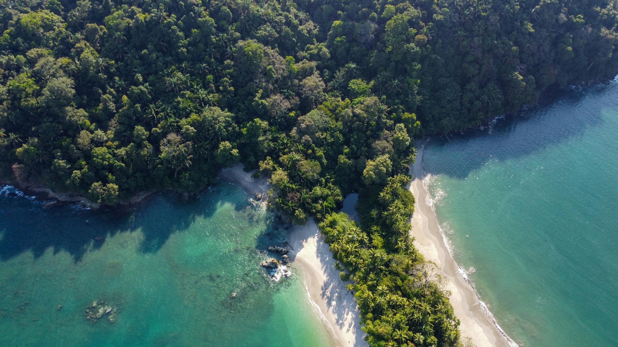 Manuel Antonio