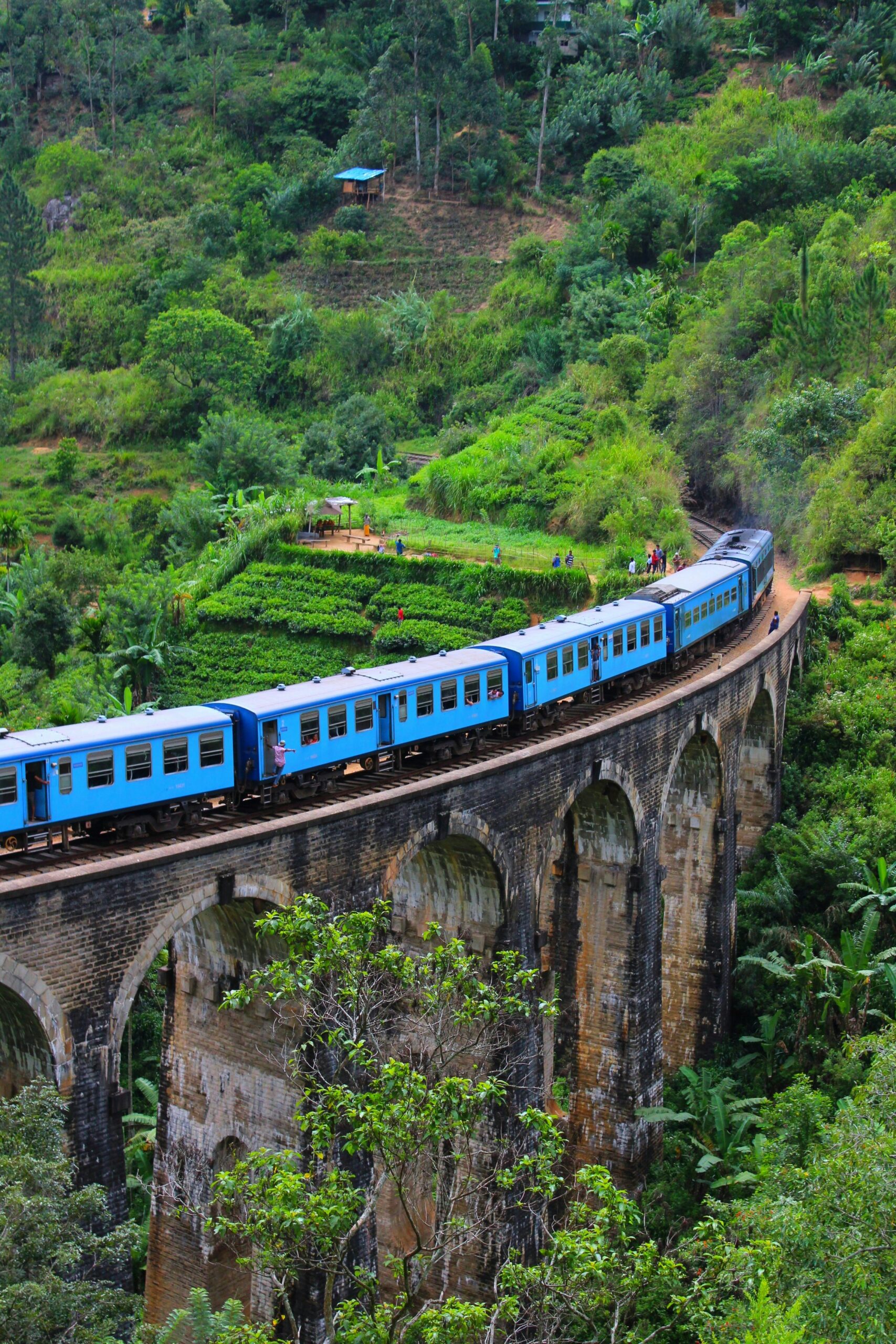 Steam Train