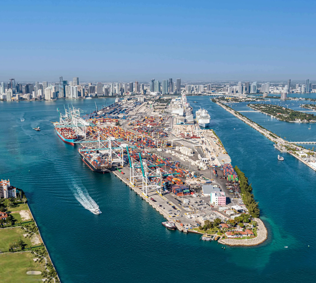 Miami Vibrant Cityscape 1